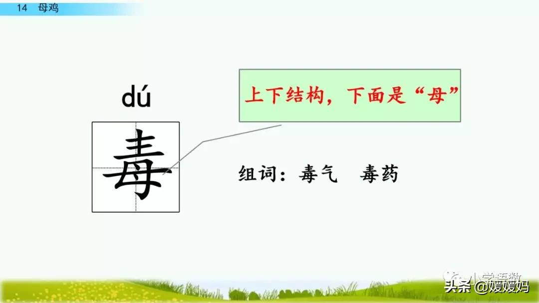 四年级下册第13课小练笔仿写母鸡,四年级下册14课母鸡的预习完整版