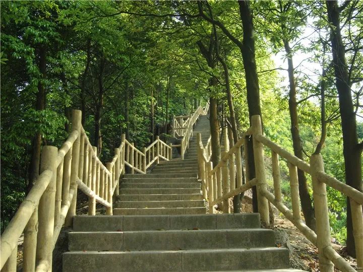 深圳这些景区将全部关闭,深圳疫情旅游景点什么时候开放