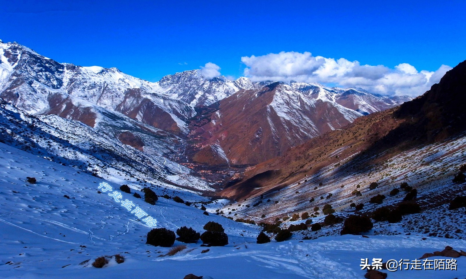 气候变暖引起的冰川变化,冰川大面积变暖