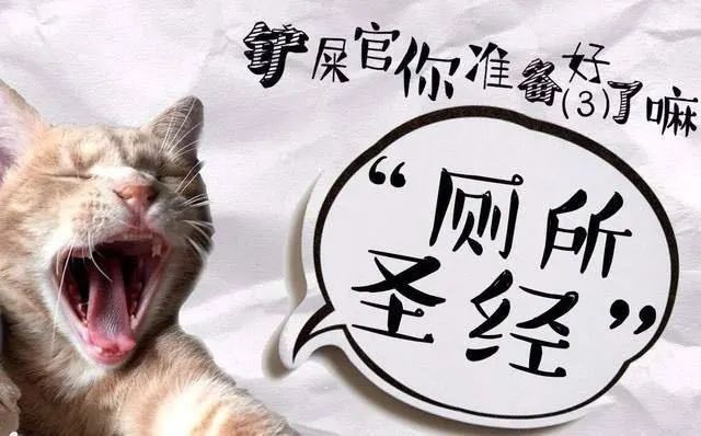 宠物常见的几个病,最严重的宠物疾病