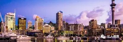 移民公司移民中介,移民中介和中移民的区别