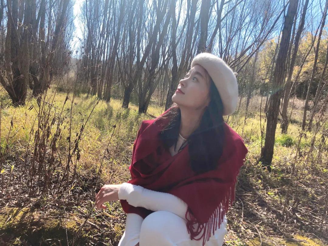 昆明甸尾村的水杉真的太美了,昆明甸尾水杉林网红打卡地