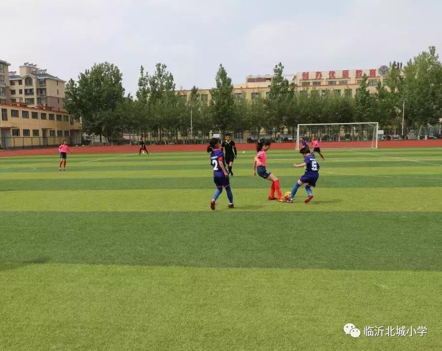 临沂金雀山小学足球队,临沂16中足球夺冠视频