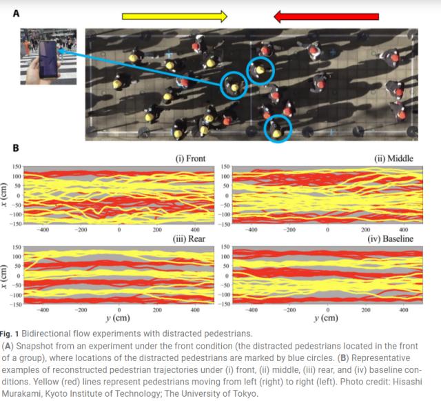 第20届搞笑诺贝尔奖,2019第29届搞笑诺贝尔奖揭晓