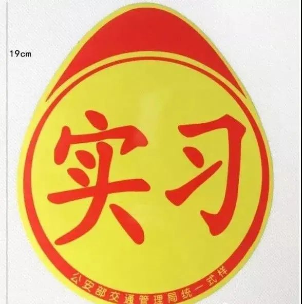 新手上路必看事故,谨慎驾驶揭秘安全注意事项