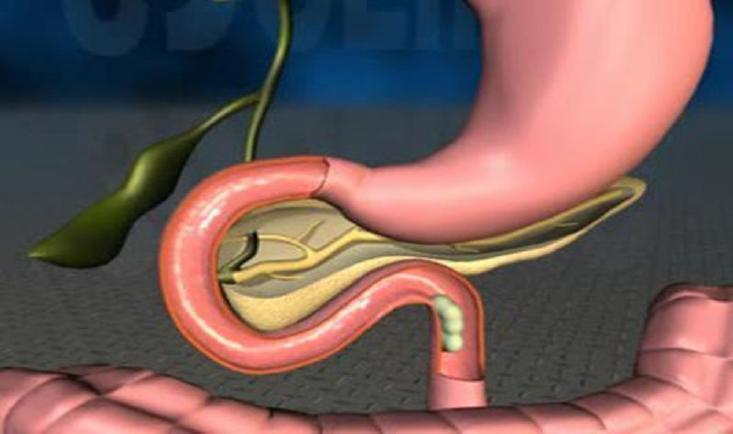 人体的八大系统免疫与营养,人体八大系统作用