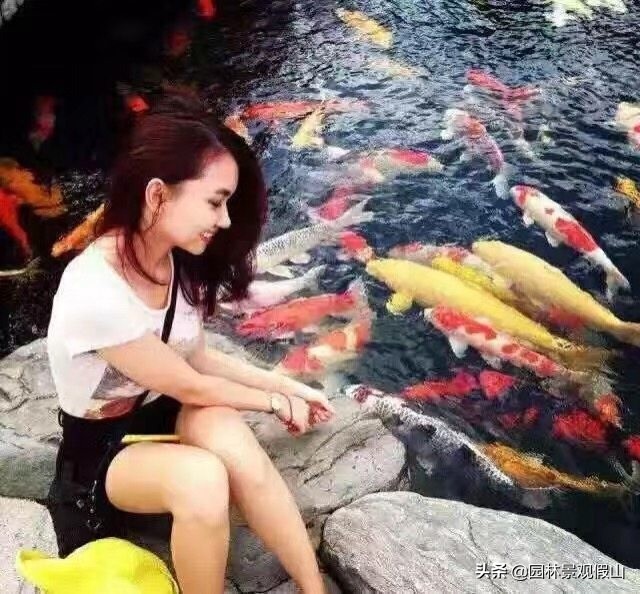 园林假山鱼池设计教程,鱼池假山怎样建才好看