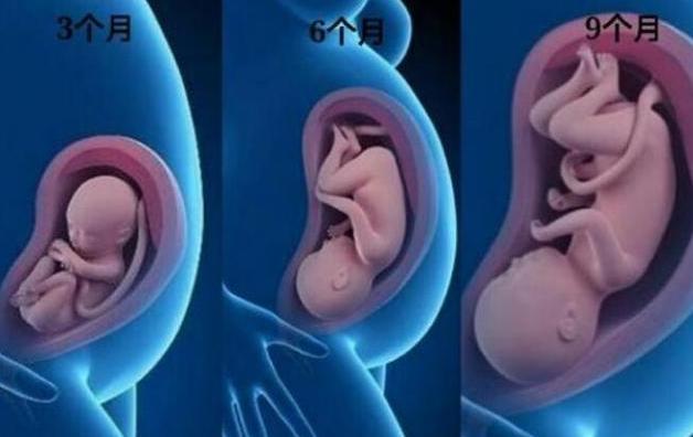 怀孕3到6个月时的反应,怀孕3个月和4个月的宝宝区别