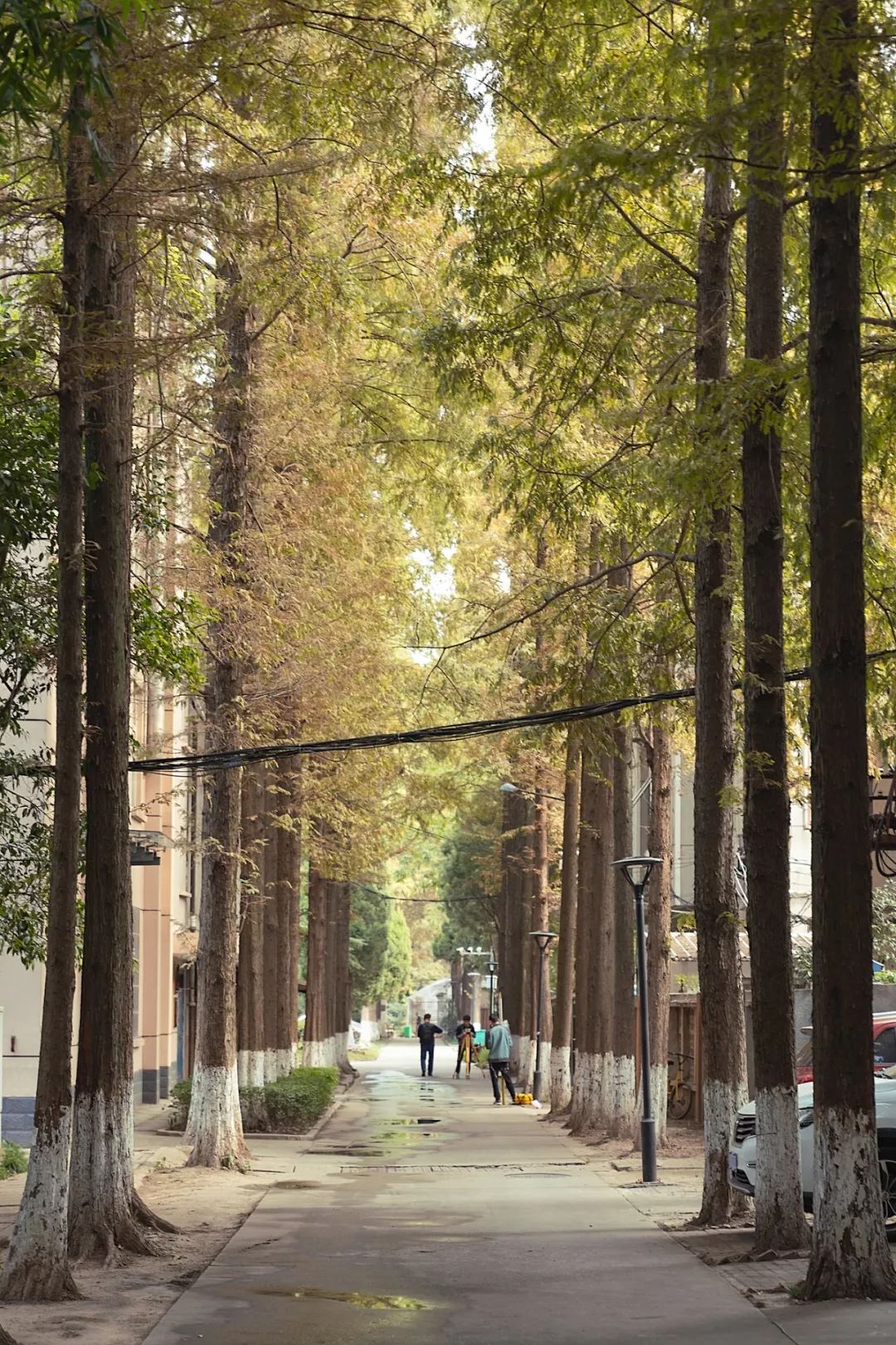 武科大最近消息,武科大最新信息