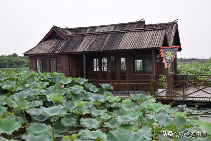 江苏常熟沙家浜现状,江苏常熟沙家浜景区演出
