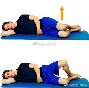 功能训练臀多久练一次,功能性训练臀与下肢训练动作