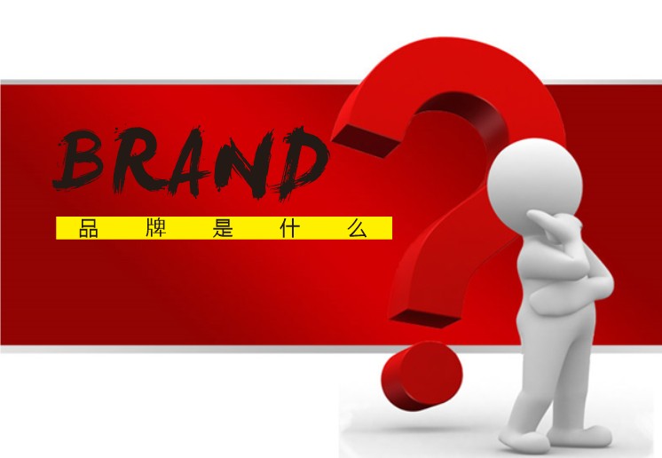 初蕾推广中心落地，系统助推凉皮业品牌闪亮登场