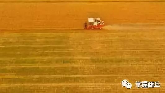 商丘五星级酒店投资多少钱,商丘星级酒店项目