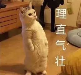 这届欧洲杯乌龙为什么这么多,欧洲杯最不可思议乌龙