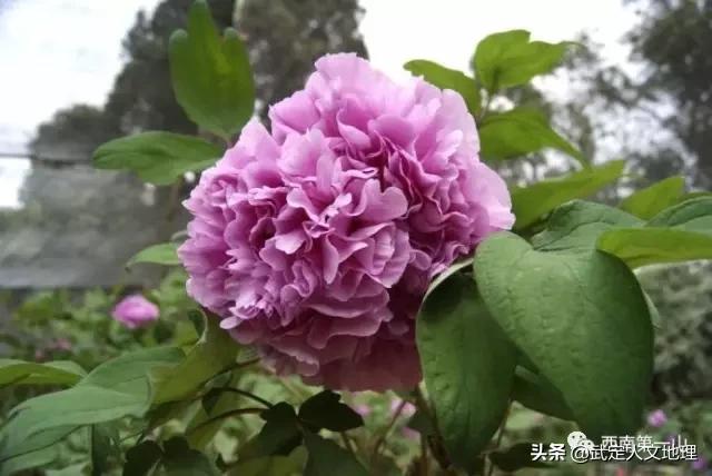 彩云之南美丽的云南,彩云之南云南省昆明市