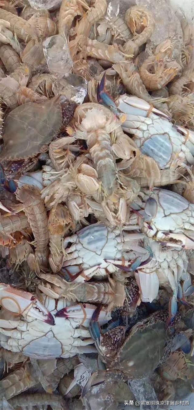 人间六月天，来海岛许一场似水流年——唐山乐亭韩姐农家院