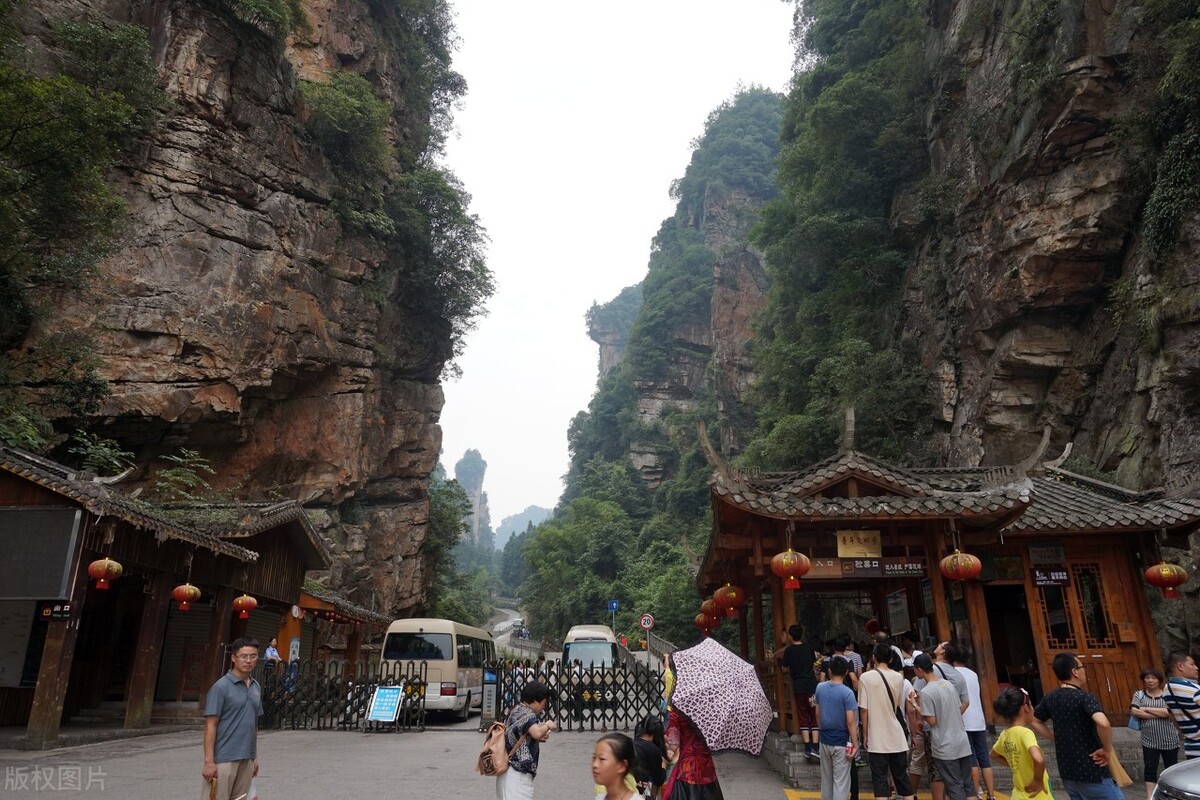 孟晚舟在张家界,孟晚舟来张家界旅游全视频