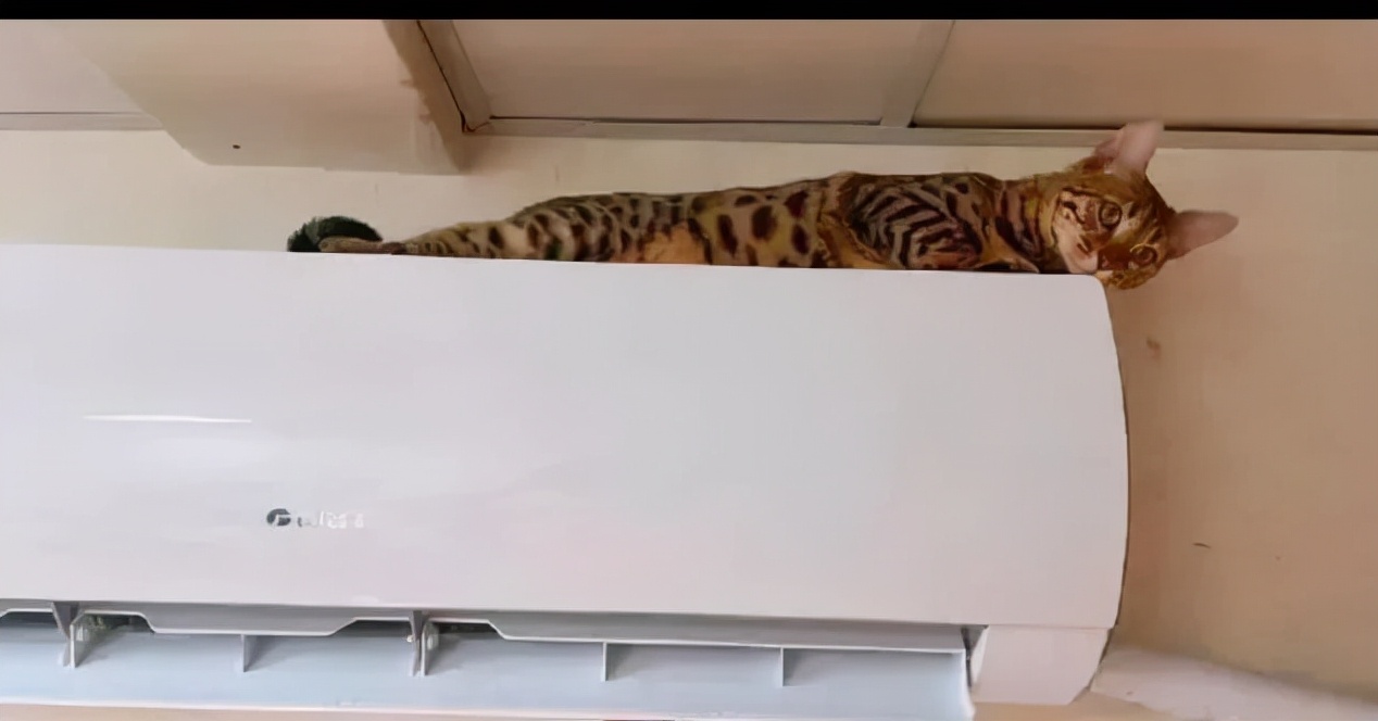 一招教你彻底祛斑,轻松祛斑先养肝