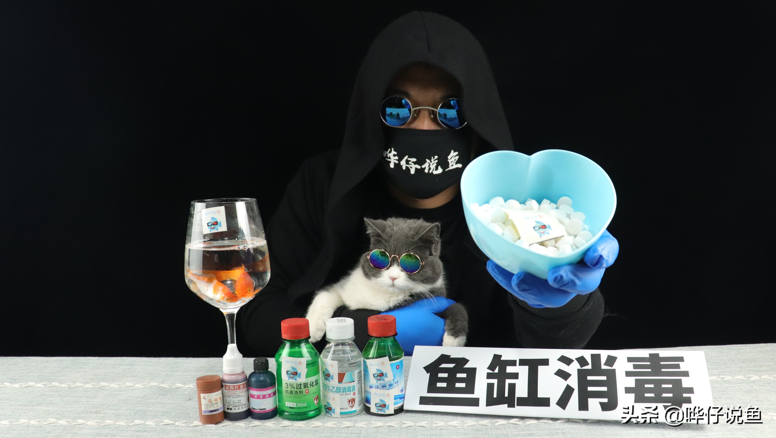 养鱼鱼缸消毒用什么最好,鱼缸养鱼要用什么消毒水