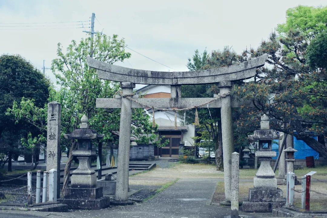 带父母豪华游轮环球旅行,带着父母们出游