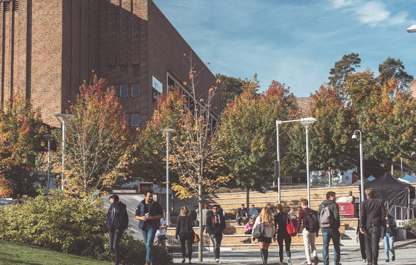 一个被排名坑了的大学，埃克塞特大学实力全英前十