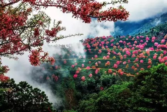 下半年旅行最佳时间表,2023最佳旅游时间表