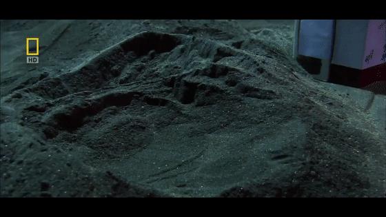 日本武士刀加钢工艺,钨钢做的日本武士刀