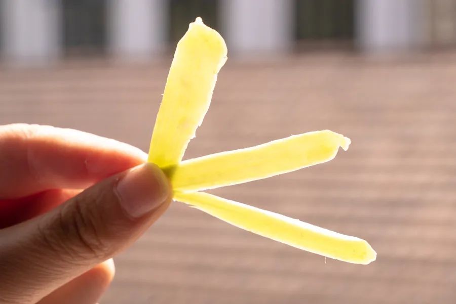 各种新奇水果,20种你没见过的水果