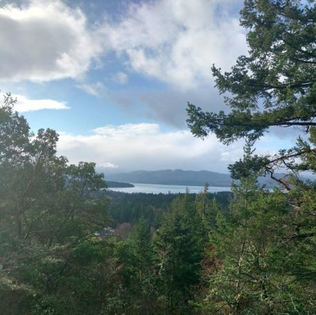 哈里梅根发布圣诞新照,2018年12月14日梅根哈里圣诞照