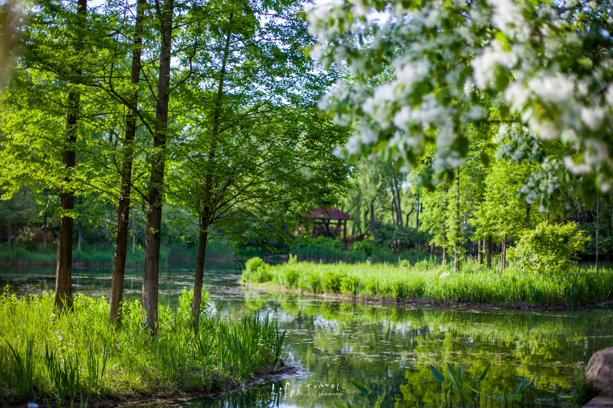 济南适合去的花海公园,济南春季公园有哪些景点