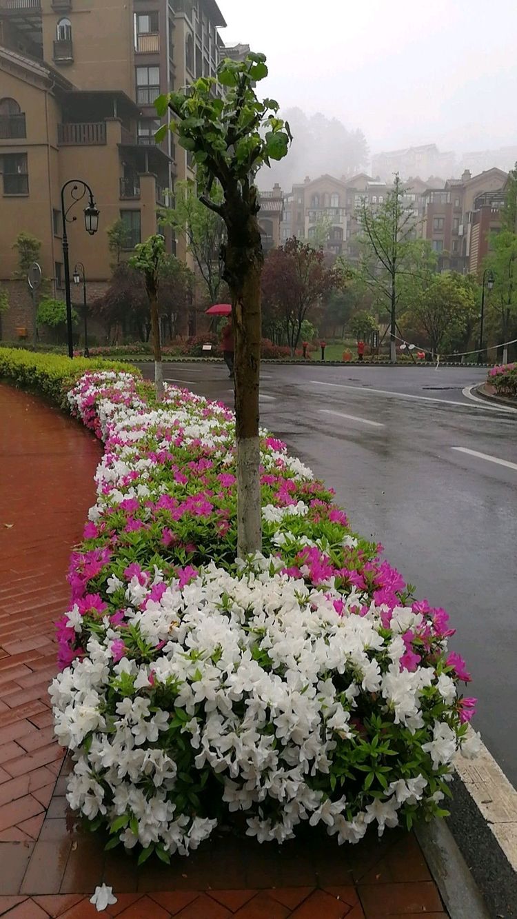 重庆避暑的好地方推荐一下,重庆本地人避暑去哪玩