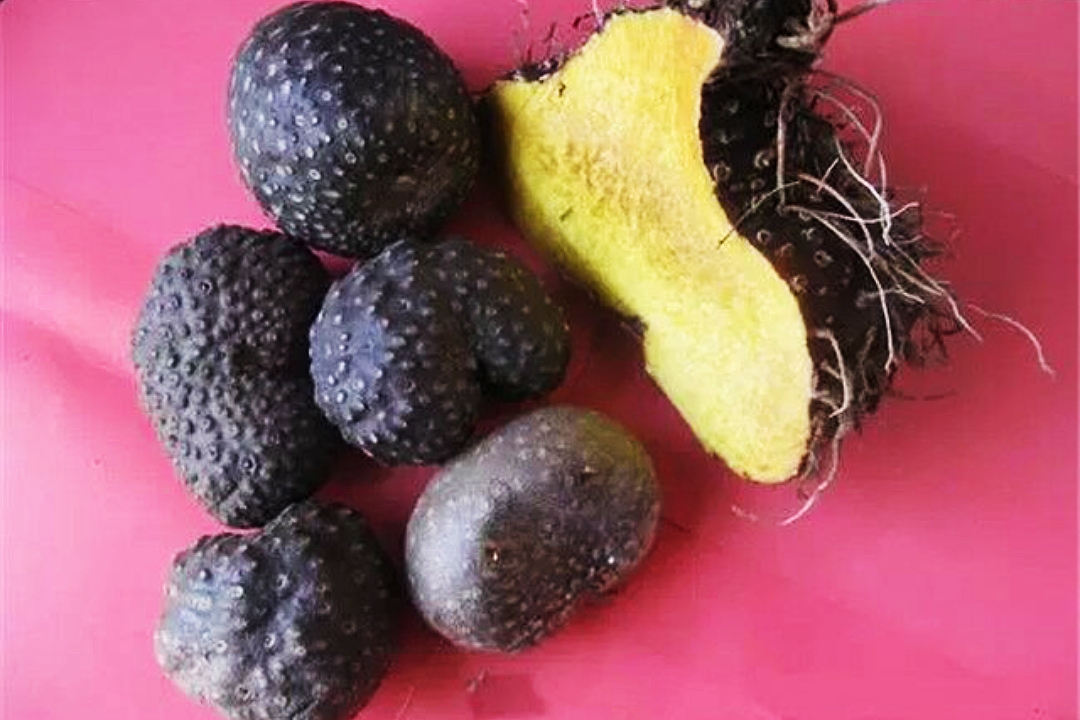 浜轰汉閮界埍鍚冪殑鍦熻眴,浜轰汉鐖卞悆鍦熻眴