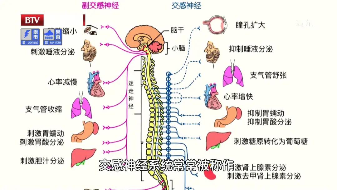 血压高可以根治吗,血压高能彻底治愈吗