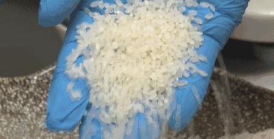 米饭辟谣,有虫的大米可以吃吗