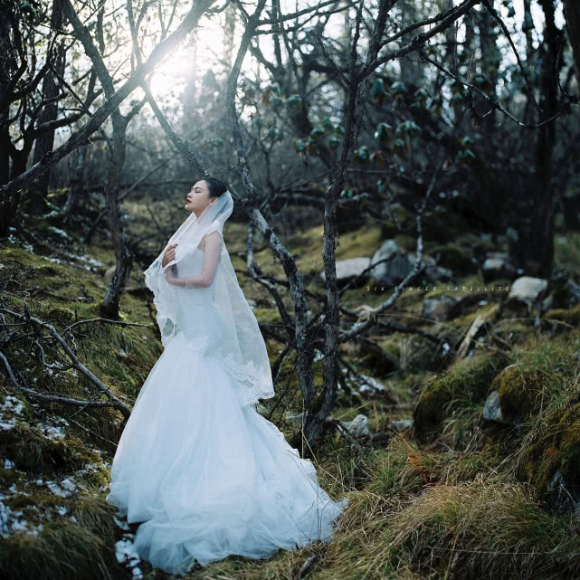 他们摄影,摄影师拍婚纱照油画