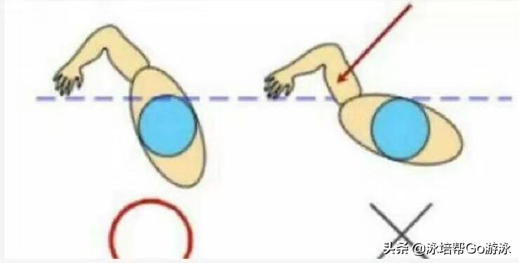 常年游泳，有助腰肩康复还是造成腰肩损伤？吾之蜜糖，彼之*霜砒**