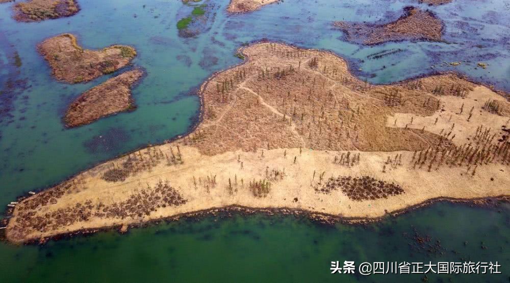 扬州瘦西湖最新旅游消息,扬州瘦西湖最美公园