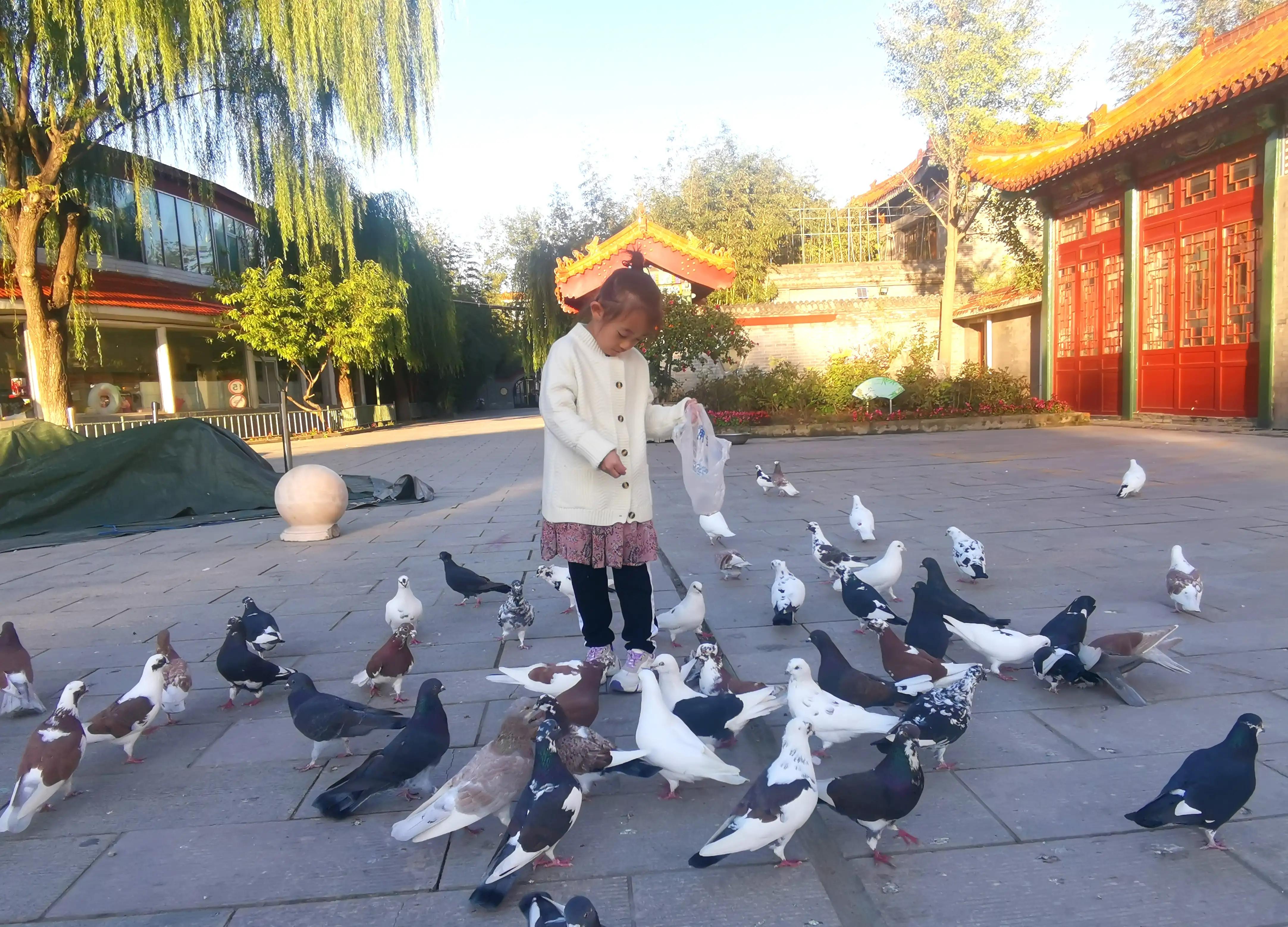 帝都最值得去的地方,帝都温泉度假村有什么项目