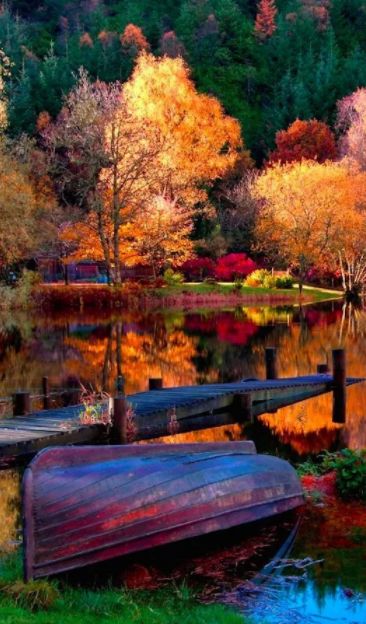 「诗词鉴赏」元曲中的秋天，另一番美丽