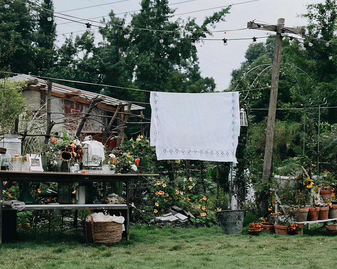 农场盈利新模式,投资万亩农场真实案例