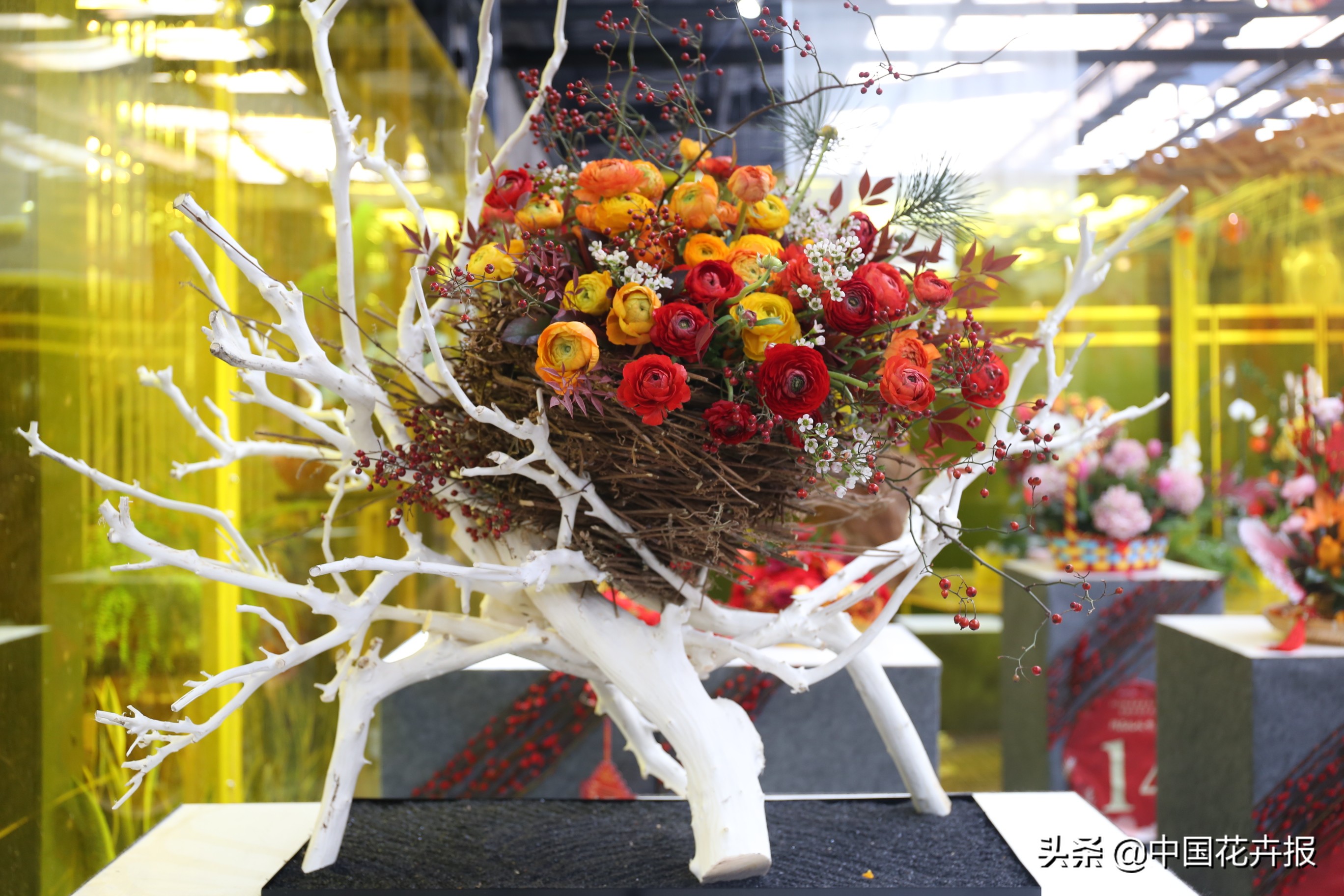 北京迎春花展,北京春季花展时间表