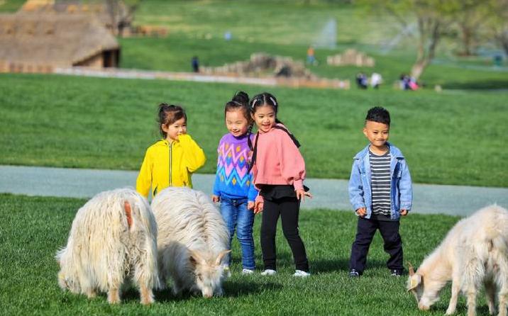 超长记录亲子牧场一日游,暑期草原亲子游攻略