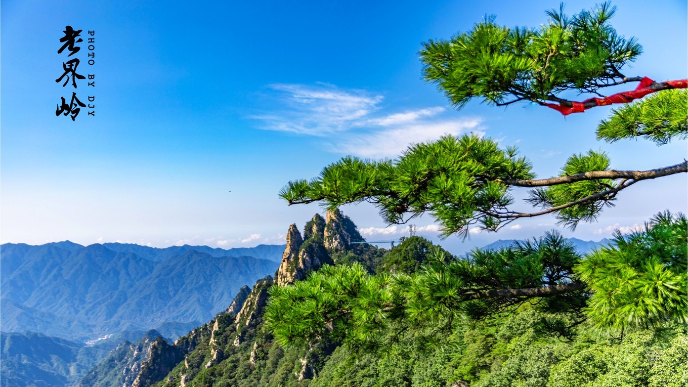 游览老界岭的感悟,河南老界岭景区