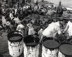 米糠油事件及其危害,日本米糠油事件简介