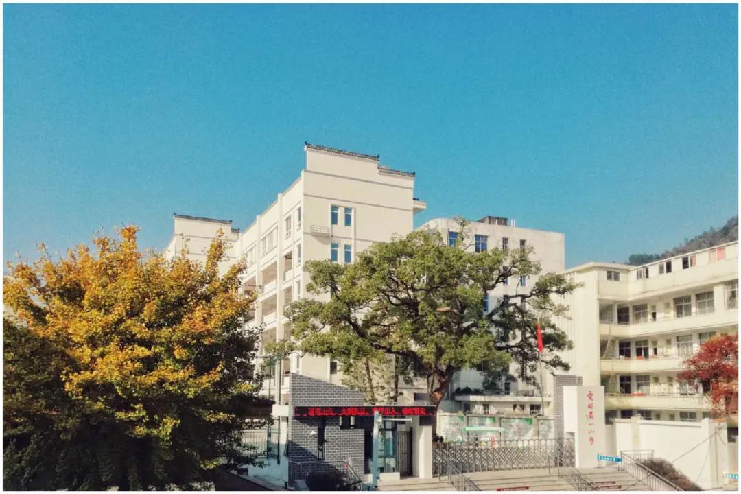 一小致家长的一封信,小学2021开学致家长的一封信