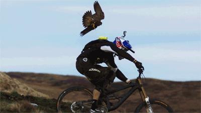 红牛敢死队高空攀登,红牛敢死队世界纪录