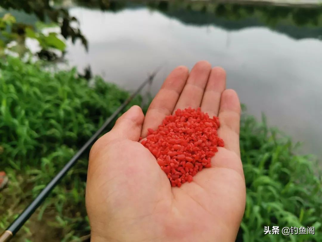 各种钓鱼打窝方式,十种打窝方式视频