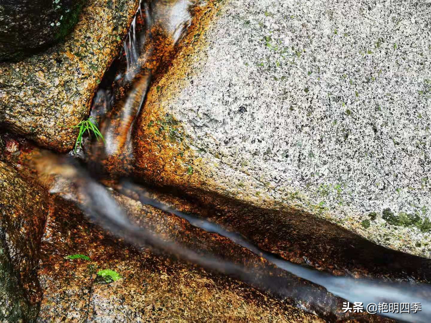 河南平顶山画眉谷——画眉声声谷愈静,流水淙淙山更幽