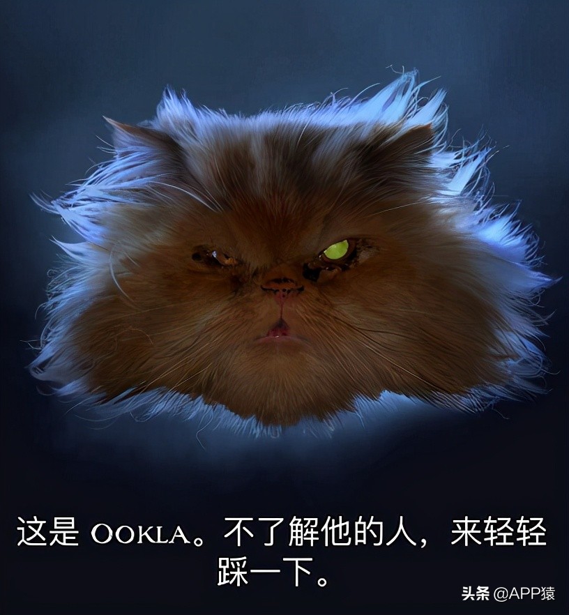 比较专业的网络测试app,推荐一款专业测网速软件