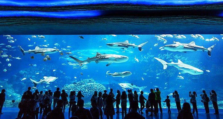 广州珠海长隆两地攻略,广州长隆欢乐世界亲子游游玩攻略